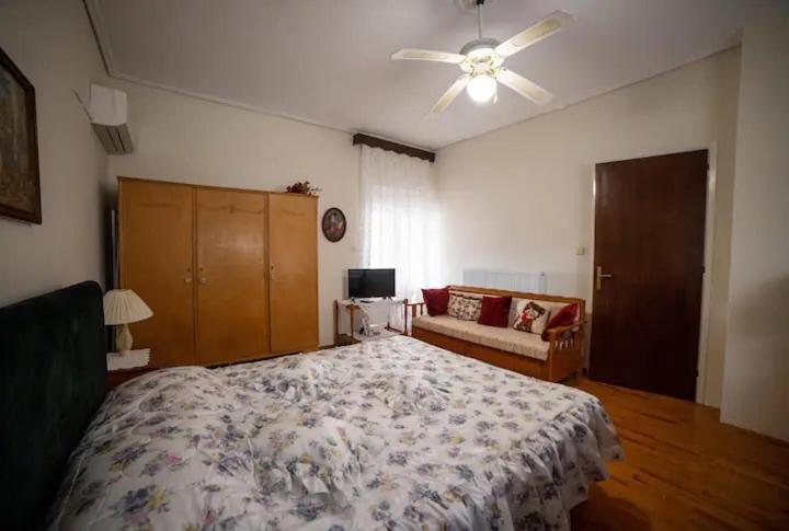 Loft House Trikala Daire Dış mekan fotoğraf